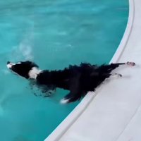 後ろ足が置き去りに！！