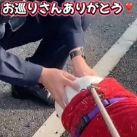 犬を撫でる警察官