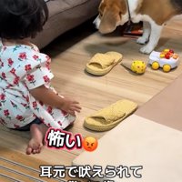 怖がる女の子