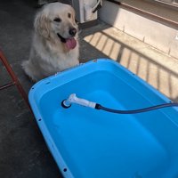 水がたまるまで待機
