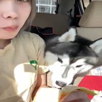 バナナを食べる犬2