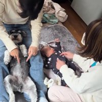 わんこにも効果てきめん！？