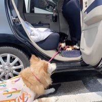 立てこもり状態