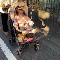 ベビーカーの下段に…