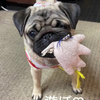 おもちゃで遊ぶのがすき！