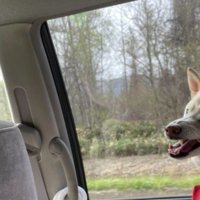 ご機嫌なゆき丸ちゃん