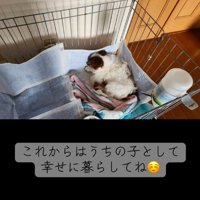 新しい生活がスタート