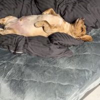 より深い眠りへ…