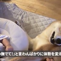 赤ちゃんの隣で寝そべる犬