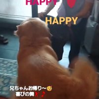 喜ぶ大型犬