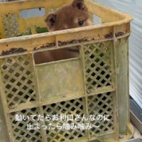 カゴを止めると…