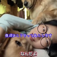 女性に寄り添う2匹の犬