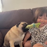まるで犬同士！？