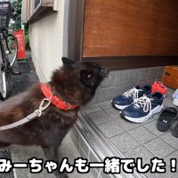 再会に大喜び♪