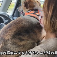 「ママ、助けて～」とお膝の上へ