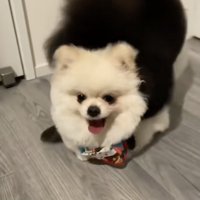 顔を挟まれても笑顔