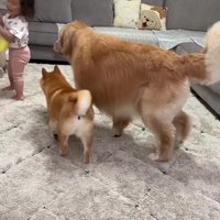 仲睦まじい3兄妹