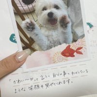 微笑ましい内容にホッコリ♡