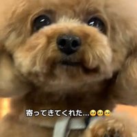 窓ガラス越しの再会