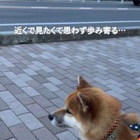 少しずつ歩み寄る