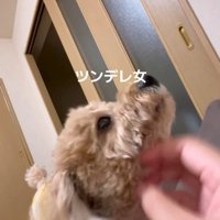 急に甘えん坊モードに♡