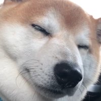 一転して虚無顔に…