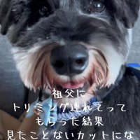 「さっぱり」とオーダーしたら…