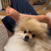 カメラ目線のコタローくん