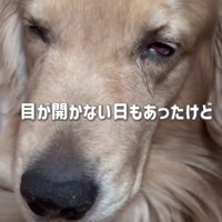 目が開けられない日もあった