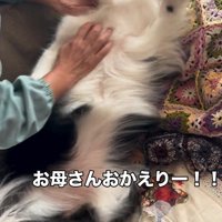 マリちゃんの熱烈歓迎6