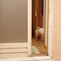 出て行ってしまいました…