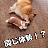 同じ体勢で寝てる！！