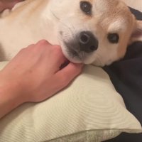 「もう終わり？」