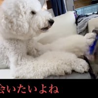 画面をタッチ