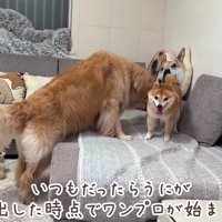 「もう少し静かにしてね」