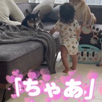 ちゃあと呼ぶ息子さん