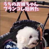 ミルクくんのナイスリアクション