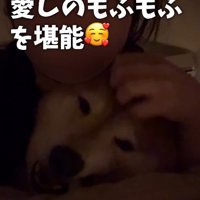 幸せそうな表情に
