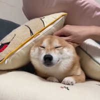 優しさで雷を乗り越えたよ♪