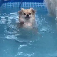 「沈んじゃう！」