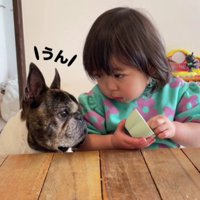 うなずく丸男ちゃん