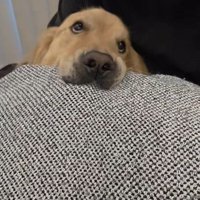 markくんとお兄ちゃんの再会8