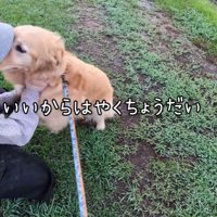 「早くちょうだい！」とアピール