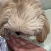 奇跡、起きました