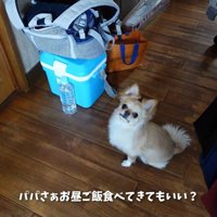 外出することを伝えたら…