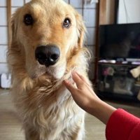 表情が人間みたい…！