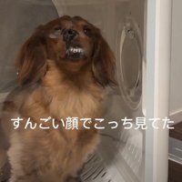 歯がむき出しに…！！