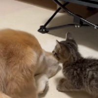 狙って狙って…