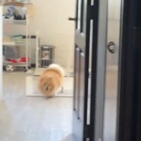 ドンッ