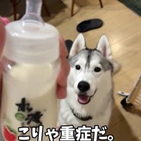 大きめの赤ちゃんがここに